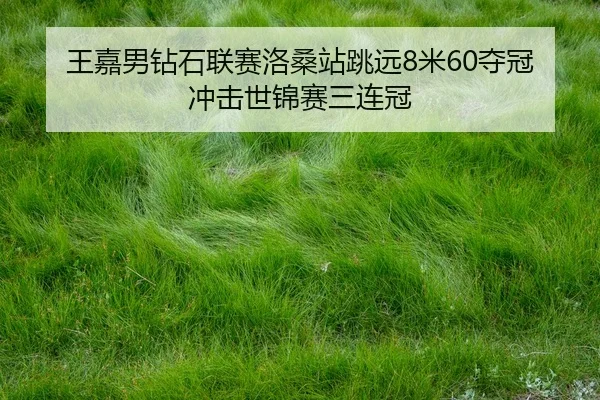 wang-jia-nan-zuan-shi-lian-sai-luo-sang-zhan-tiao-yuan-mi-duo-guan-chong-ji-shi-jin-sai-san-lian-guan-3-856.jpg